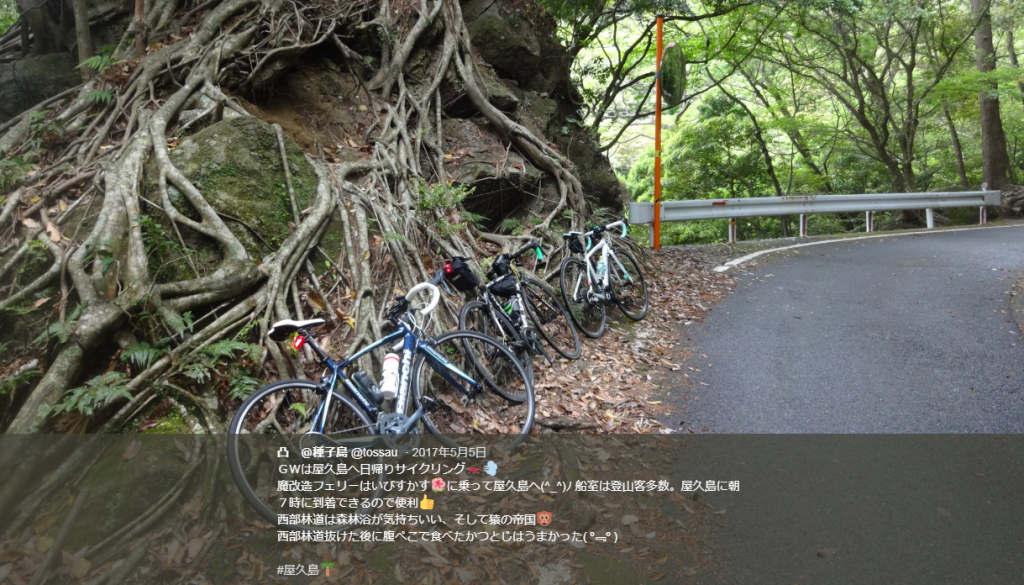 屋久島サイクリング-201705