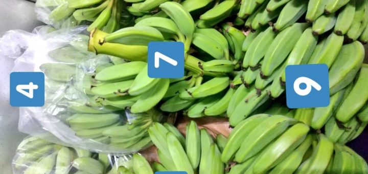 バナナ露地栽培の記録🍌：2020シーズン（収穫３年目）