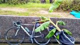 【ｲﾝﾌﾟﾚ・ﾚﾋﾞｭｰ】折畳式サイクルトレーラー Travoy